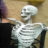 Voldy Moyo