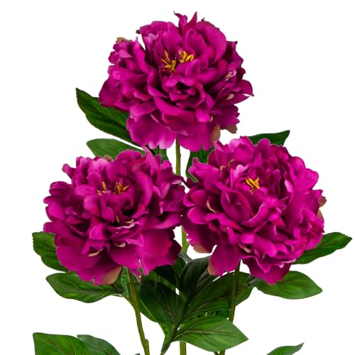 Hollyone Flores artificiales de peonía roja fucsia de 5.5 pulgadas con tallo de 30.3 pulgadas de largo, 3 piezas de peonías falsas realistas decorativas de flores artificiales para decoración del hoga