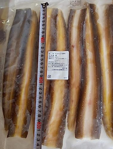 y[Y@VՂp@qJ@420i8j×20o@}AiS@Ⓚ@Ɩp