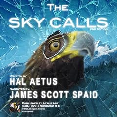 The Sky Calls Audiobook By Hal Aetus cover art