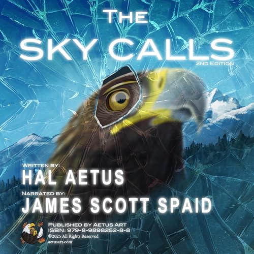 Couverture de The Sky Calls