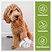 Pogi’s Dog Wipes Travel Packs – Hypoallergenic Pet Wipes for Paws, Body & Butt – Cleaning & Hydrating, Green Tea Scent, 120-Count