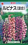 春秋まき 内容量:1.5ml 発芽率:60%
