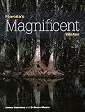 Florida's Magnificent Water (Florida Magnificent Wilderness)