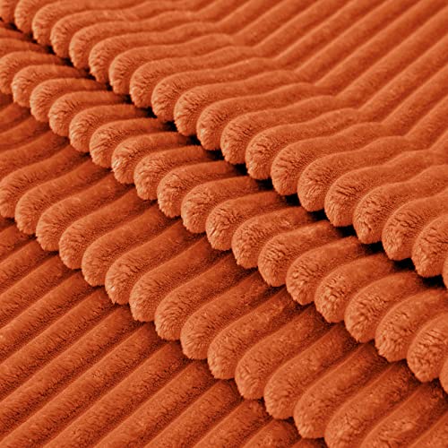 Vessia Flannel Fleece Throw Blanket(50X70 Inch, Orange), Lightweight Couch Blanket, Warm Cozy Soft Bed Blanket, Plush Microfiber Sofa Blanket For All Season #TOP6