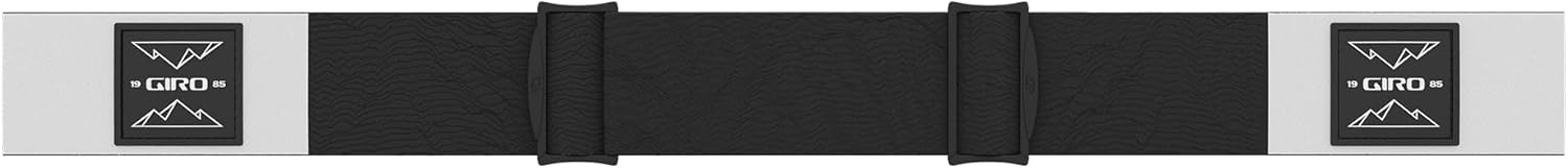 Giro Comp Ski Goggles - Snowboard Goggles for Men and Women