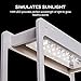 Indoor Herb Vegetable Plant Garden Kit, LED Grow Light Timer & Remote, Planter Grower Kitchen- Stocking Stuffer Unique Gift Holiday Christmas