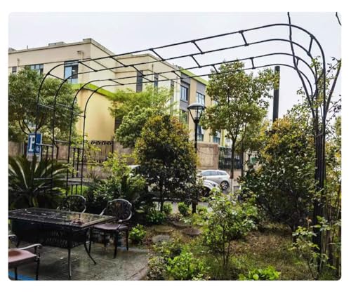 Arche de mariage extérieure en métal et pergola de jardin réglable - 8