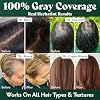 Herbatint Permanent Hair Dye For Women - 1N Black - For Up To 100% Gray Coverage of Resistant Gray Hair - Ammonia-Free, Alcohol-Free & Vegan - Salon Influenced Hair color 5.75 fl oz