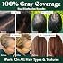 Herbatint Permanent Hair Dye For Women - 1N Black - For Up To 100% Gray Coverage of Resistant Gray Hair - Ammonia-Free, Alcohol-Free & Vegan - Salon Influenced Hair color 5.75 fl oz