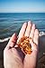 RAW Baltic Amber Necklace - Natural Amber from Baltic Region, Genuine Amber (13in.)