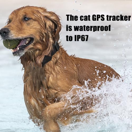 GPS Tracker Katze, Mini GPS Tracker für Hund, Verstellbarer Halsband, Kompatibel mit iOS und Android, Bluetooth Haustier Locator Wasserdicht (A).