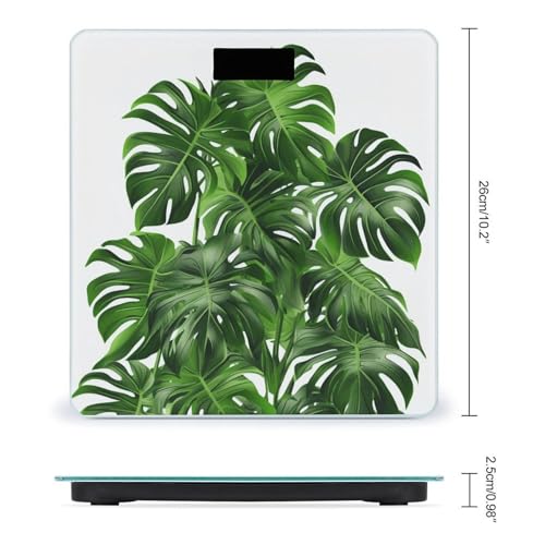 Báscula digital de baño con pantalla LCD y precisión 400 lb miniatura 2