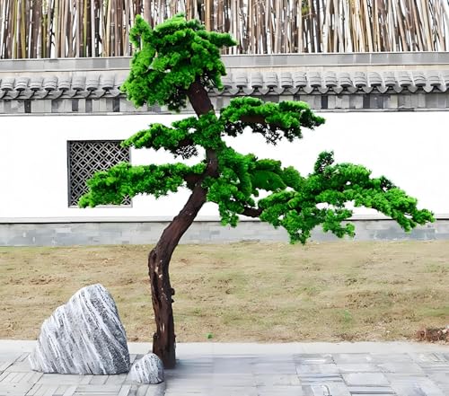 �l�H���̖؁A�͑����ꂽ���}�̏��̖؁A���A���Ȗ͑����̖؁A�{����������̑傫�ȃt�F�C�N�t���A���̖؁A�z�[���z�e���N���u�̓�����̑����p�A3.3 x 5�t�B�[�g