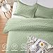 LEAONME Full/Queen Quilt Set 3 Pieces, Lightweight Sage Green Bedspread-90''x98'', Soft Microfiber Summer Quilt, Luxurious Warm Coverlet Sets for All Seasons (Includes 1 Quilt, 2 Shams)