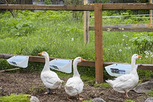 2 Pack Goat Feed Trough, Feeder and Waterer for Sheep Duck Sheeple Horse Chicken Deer Goose Cat Dogs Livestock and Pets(4.5 Quart)(Appearance Patent Product)