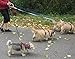 Triple Dog Leash Handle, 3 Way Dog Coupler Multi-Leash UTurn Handle with which you can walk 3 dogs on 3 leashes and untangle in seconds. Black.