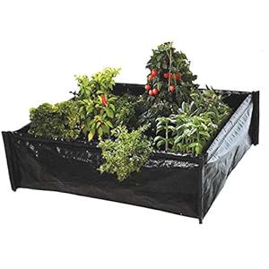 Verhoogde bloem bed tuin verhoogde plantaardige patch grote plantenbak