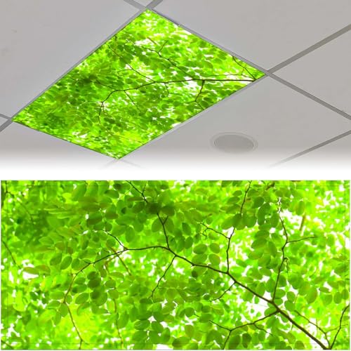 Image of 2 Pack Fluorescent Light Cover for Ceiling Light Classroom- Tender Green Magnetic Light Cover Fluorescent Light Shade Panel, Decorative Film Filter for Reducing Harsh Glare Flicker Home Decorations