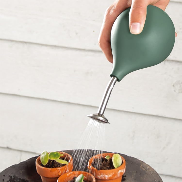 Mini Arrosoir Pour Plantes D'intérieur - 450 Ml - Fonction Pulvérisation Ou Jet Direct - Design Ergonomique Transparent - Idéal Petites Plantes Et Semis