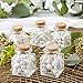 Kate Aspen, Square Glass Favor Jar, with Cork Stopper, Petite Treat, 12 Count (12PCS)