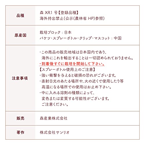森のきのこ倶楽部 HELLO KITTY×もりのしいたけ農園 栽培キット (しいたけ栽培/家庭菜園/説明書付き) キノコ栽培 しいたけ (自由研究/食育/おうち時間) ハローキティ キティちゃん サンリオ 9枚目