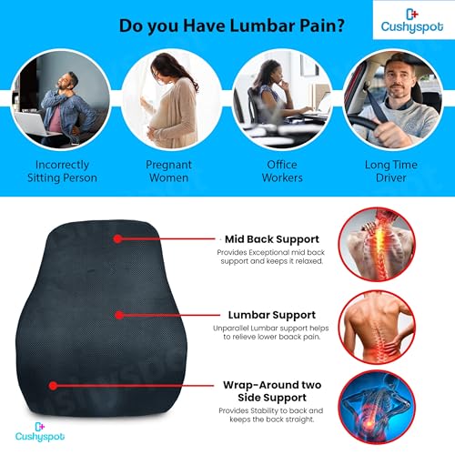 Image of Ergonomic Back Support for Office Chair & Car Seat | Lumbar Support Cushion for Back Pain Relief | Chair Back Support for Back Pain - Posture Corrector