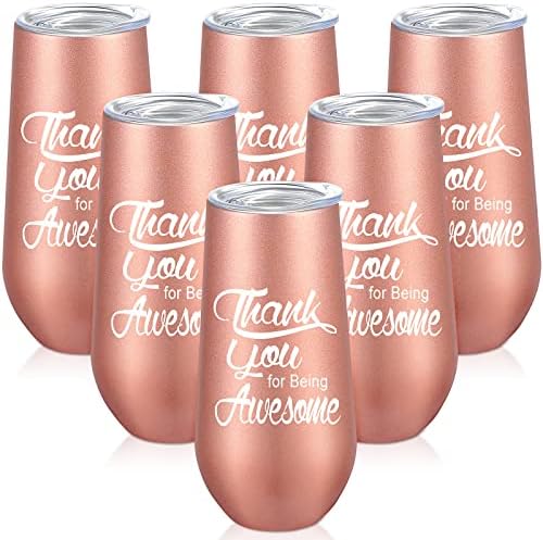 6 Pcs Thank You for Being Awesome 6 oz Champagne Tumbler, Stemless Champagne Flutes, Unbreakable Champagne Glasses Birthday Mothers Day Gift Graduation Friend Thank You Gifts Appreciation Gifts