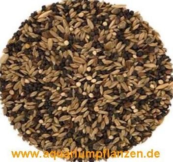 20 kg canary, bird seed, feed, bird