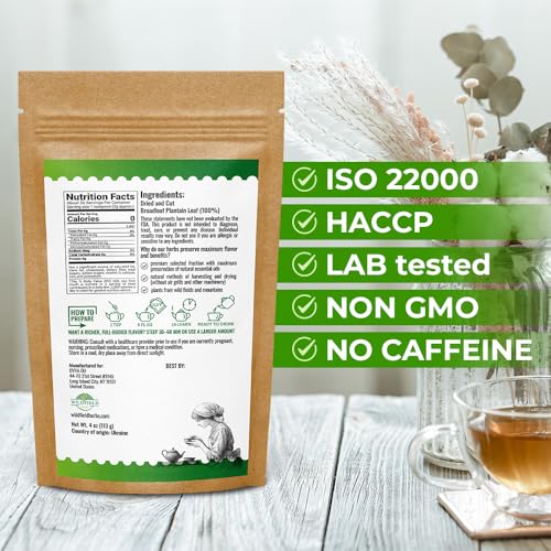 Image of 4 oz. Broadleaf Plantain Leaf Herb Tea Dried Plaintains Leaves (Plantago Majoris Folia) - 113g Greater Plantain Leaf Tea Llanten