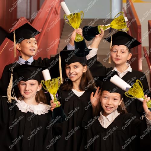 Reviews de Trofeos , listamos los 10 mejores. 15 Imagen adicional