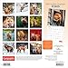 Canadian Geographic Foxes OFFICIAL | 2026 12 x 24 Inch (Hanging) Monthly Square Wall Calendar | Wyman Publishing | Wildlife Animals Nature