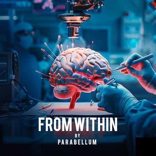 From Within Audiolibro Por Parabellum arte de portada