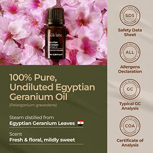 Gya Labs Egyptian Geranium Essential Oil - 100% Natural Aromatherapy Geranium Essential Oil For Skin, Hair, Body Massage & Diffuser (0.34 Fl Oz) #TOP5
