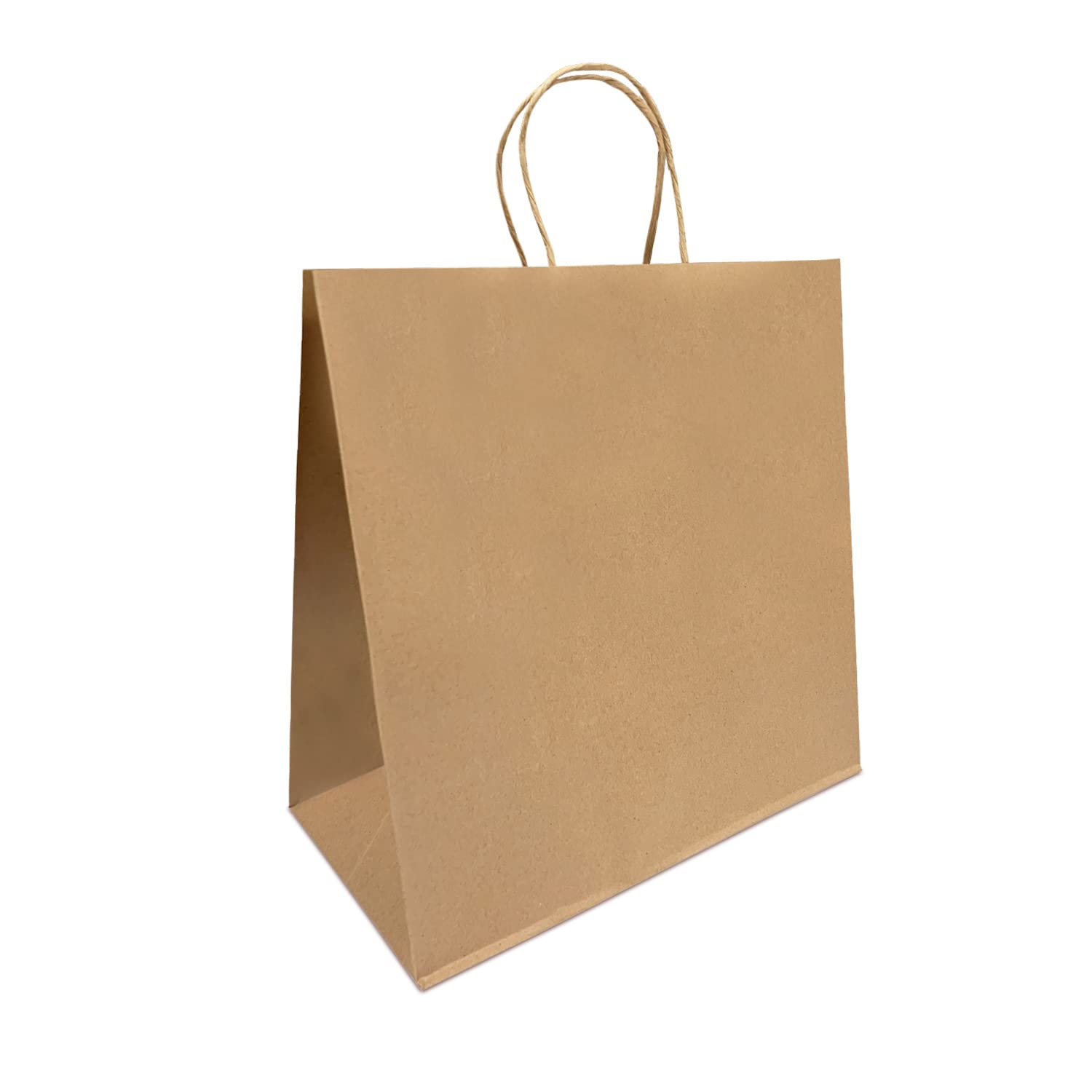 Amazon.com: Paper Bags With Handles, 250 Count 13x7x13 Inches