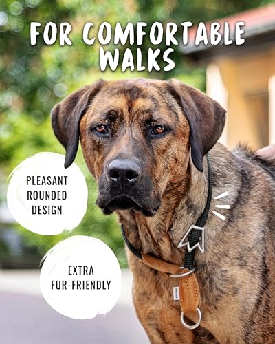 Rudelkönig Hundehalsband Emma - Elegantes Zugstopp Halsband aus Leder und Nylon - ø 12mm - Bequemes Tau Halsband für mittelgroße Hunde in schwarz