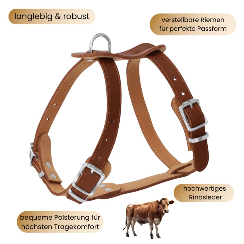 Hundegeschirr kleine Hunde aus echtem Rindsleder - Hundegeschirr Leder für Dackel, Chihuahua & co - verstellbares Welpengeschirr - Geschirr für kleine Hunde für Spaziergänge & Alltag (S)