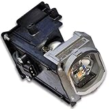 Tipo: Módulo de lámpara de proyector de repuesto (arrantes: 150 días).