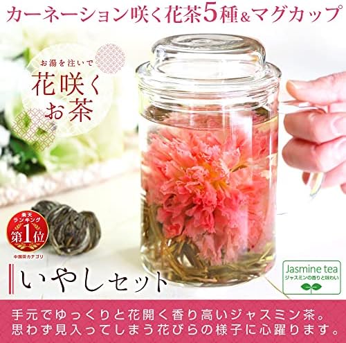 Amazon Rimtae いやしセット 工芸茶5種 耐熱ガラスマグカップ ギフト 花茶 Rimtae フルーツティー 通販