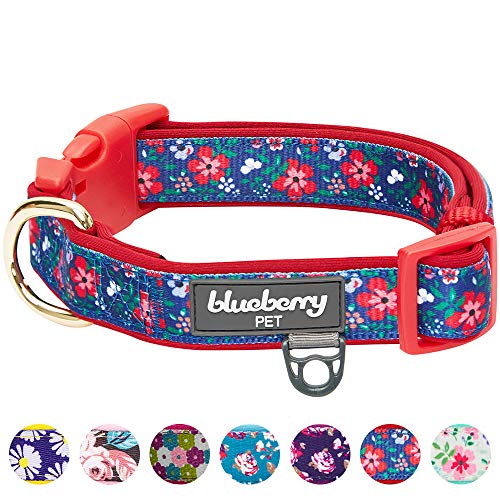 Blueberry Pet 2020 New 7 Patterns Soft & Comfy Pretty Posies Spring Garden