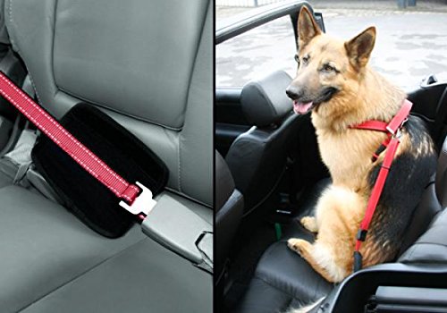 PatentoPet Walk and Drive Leine