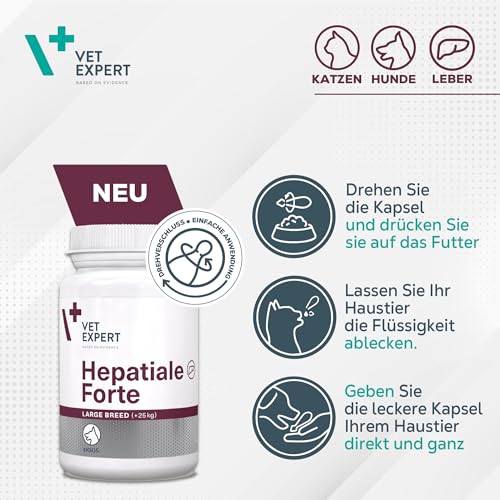 VetExpert Hepatiale Forte | 40 Tabletten | Ergänzungsfuttermittel für Hunde und Katzen