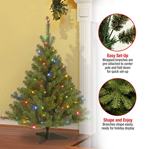 image for National Tree Company Pre-Lit Artificial Medium Christmas Tree, Green,