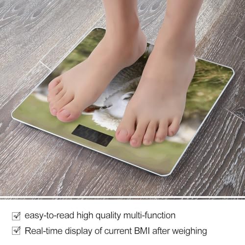 Báscula Digital de Baño con Plataforma de Vidrio Templado miniatura 5
