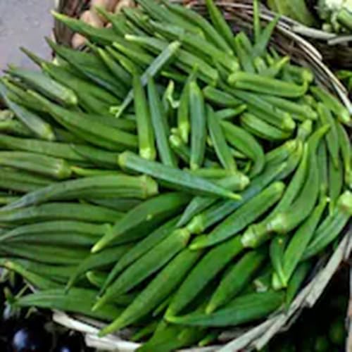 30 Indian Dark Green Tender Okra Seeds F1 Desi Bhindi Bendakaya - Early Variety First harvesting :40-45 Days After Sowing Planting Easy to Grow Outdoor Summer Garden (Abelmoschus esculentus)