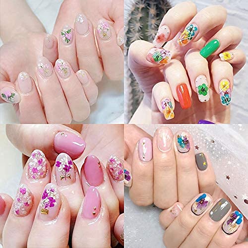 Lpone LP08 60 Pcs 3D Nails Dried Flowers Resin Accessories Mini Natural For Nail Art Supplies Decal Mixed Accessory Starry Flower Stickers Colorful Dry Decals(12 Colors). thumb #7