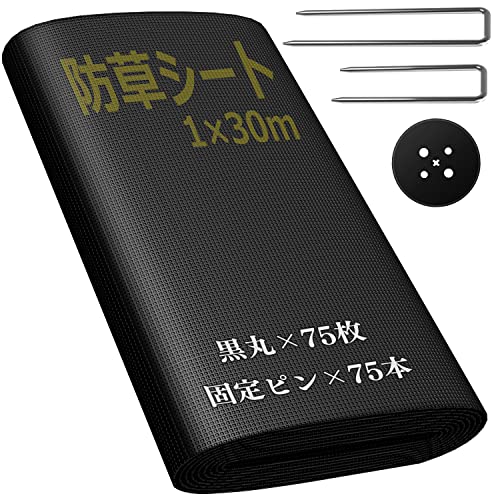 Sumeriy hV[g 1m×30m  x  ϋv V[g G΍  ʘH  EbhfbL̉Ȃ Gh~ Œs75{ƍ75t