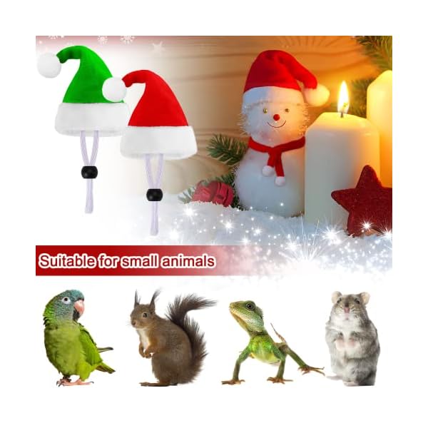 Junebrushs 12 pcs mini santa hats,christmas pet chicken hat scarf set red green small animal hat with adjustable for poultry hen rooster hamster duck lizard guinea pigs - image 4