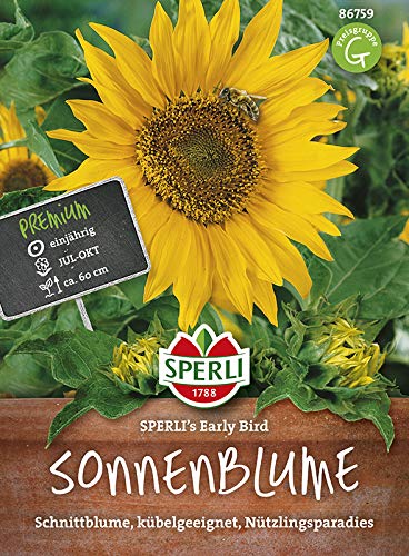 Preisvergleich Produktbild Sperli 86759 Sonnenblume Early Bird (Sonnenblumensamen)