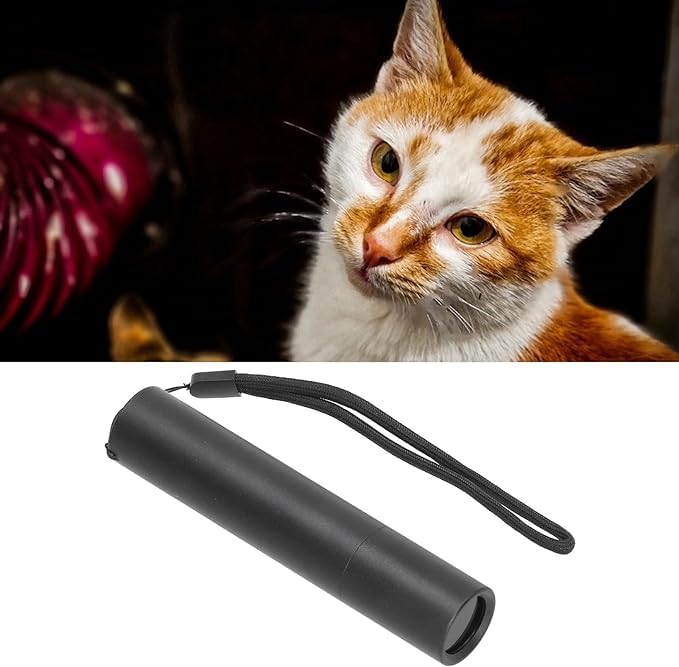 Clefairy Black Light UV Flashlight LED 395nm for Ultraviolet Blue Light Torch for Scorpions Dog Cat Pet Urine Detector Fluorescent Minerals (B0D4MGZJLT) Amazon Price History, Amazon Price Tracker